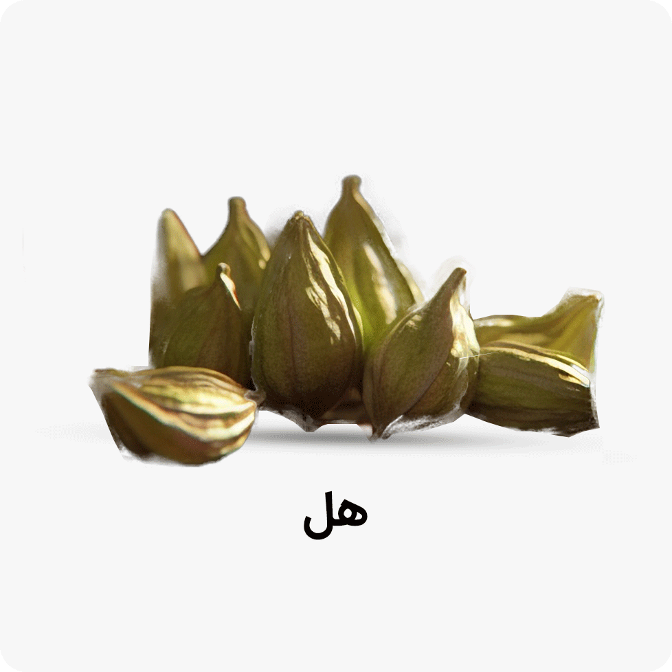 خرید هل
