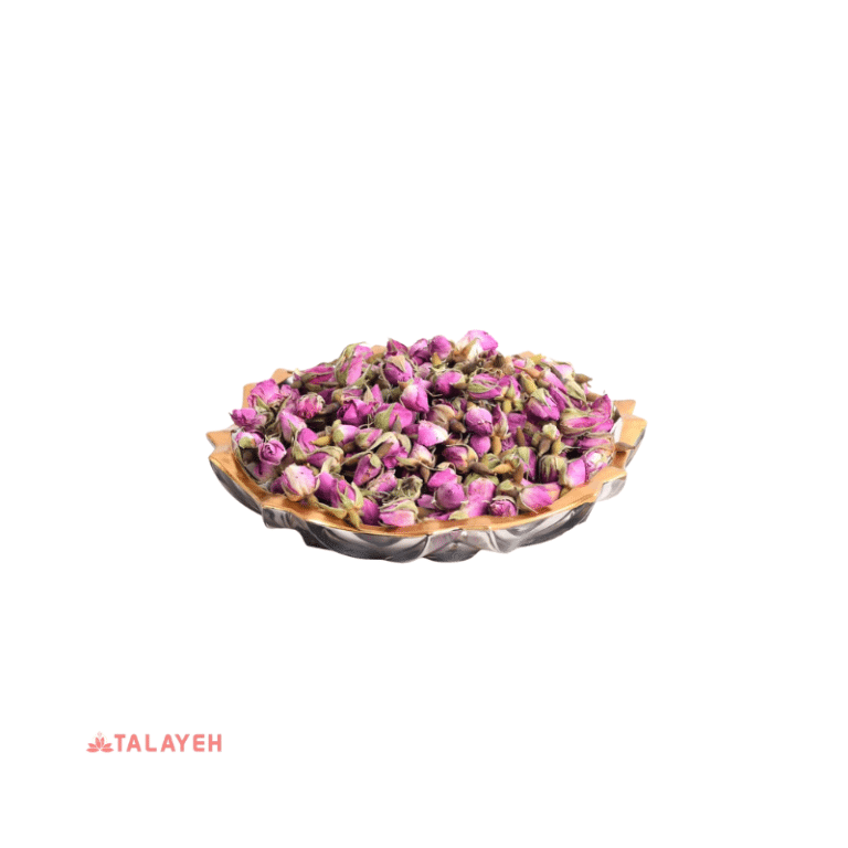 غنچه گل محمدی شیراز
