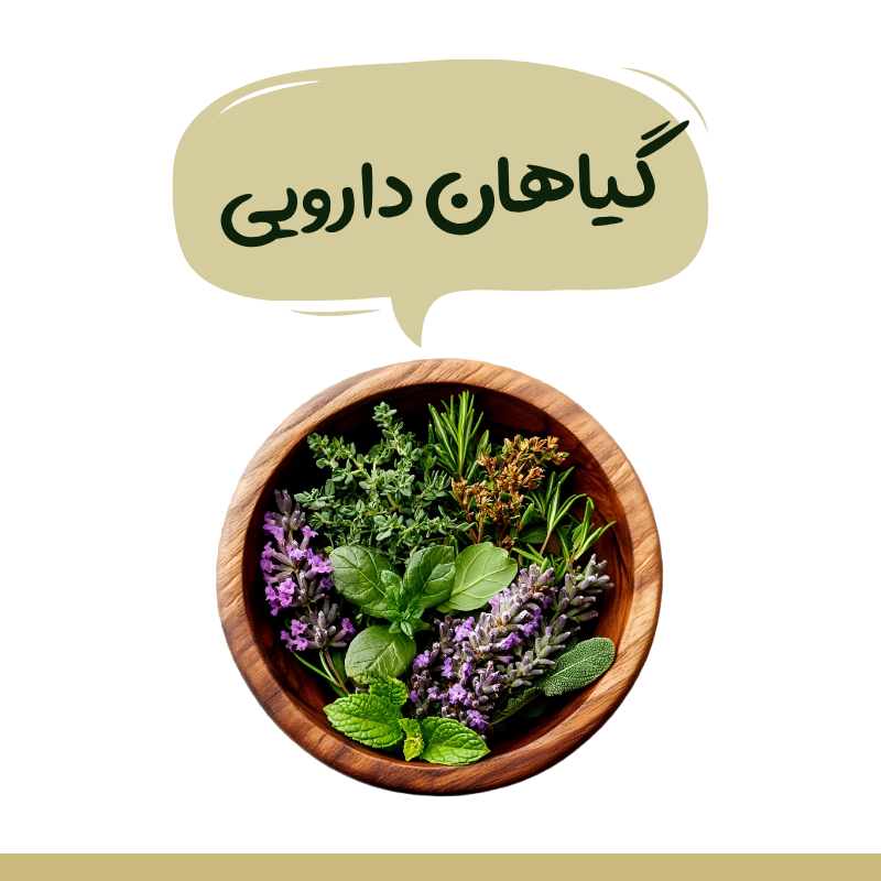 گیاهان دارویی