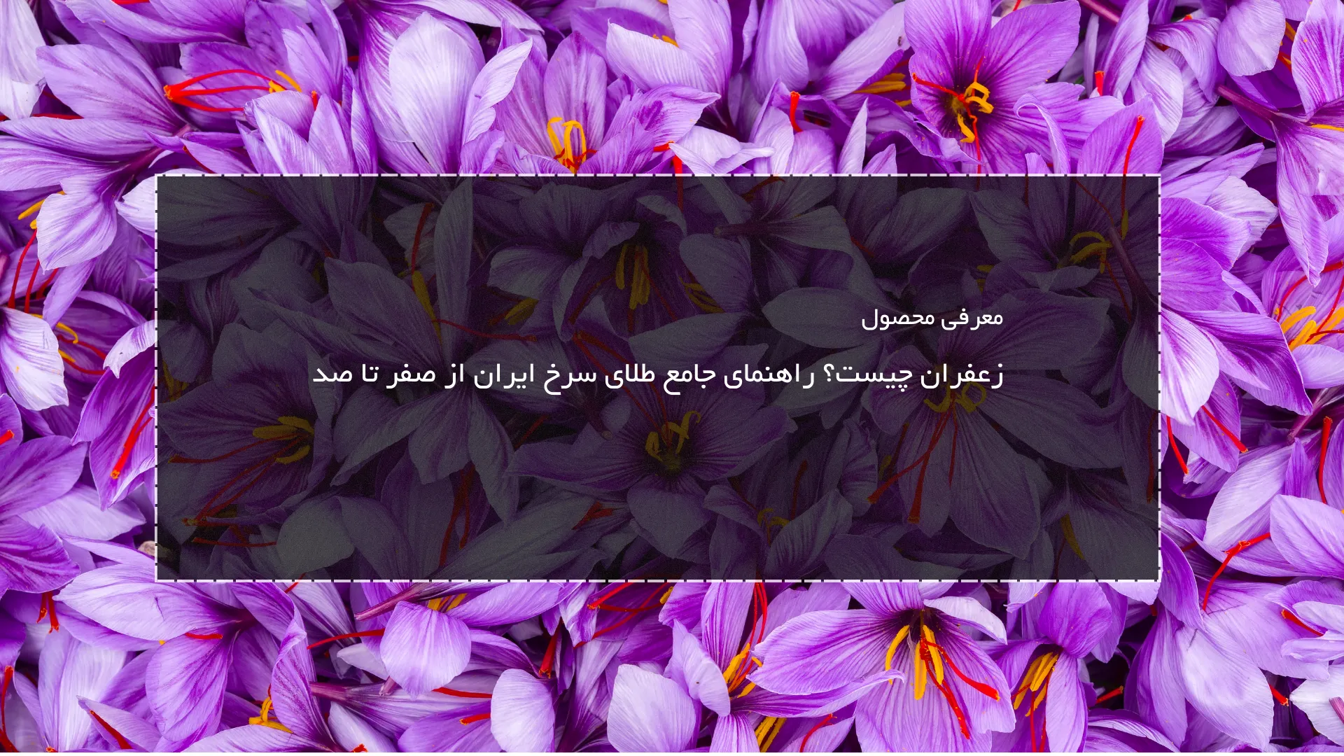 زعفران چیست؟ راهنمای جامع طلای سرخ ایران از صفر تا صد