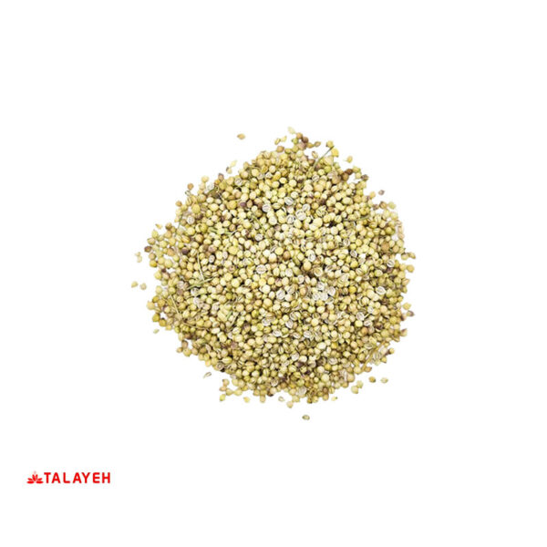 تخم گشنیز یک کیلویی