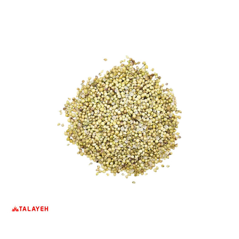 تخم گشنیز یک کیلویی
