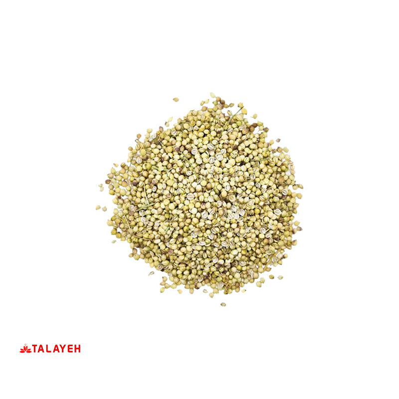 تخم گشنیز یک کیلویی