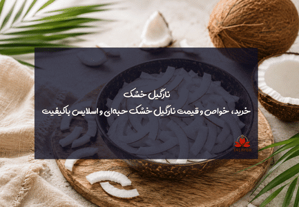 talayeh blog 2