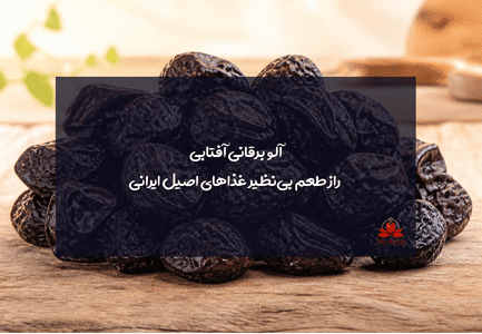 آلو برقانی آفتابی
