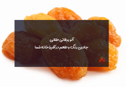 آلو برقانی طلایی