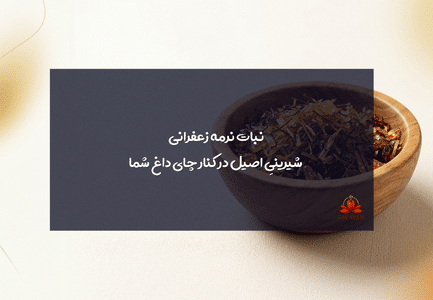 نبات نرمه زعفرانی