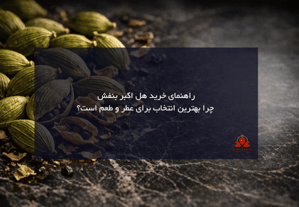 راهنمای خرید هل اکبر بنفش